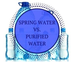 Spring Water vs. Purified Water | Lipsey Water